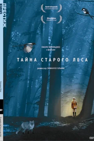 Тайна старого леса  онлайн