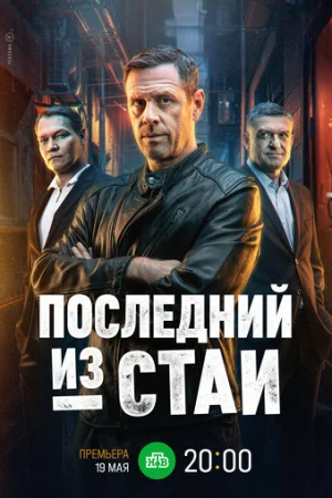 Последний из стаи 1 сезон онлайн